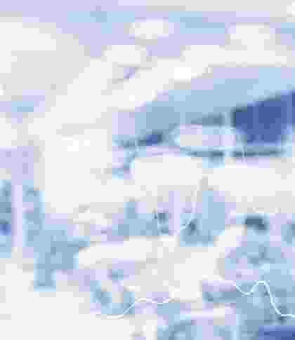 05-image-with-caption-img18